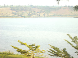  Lake Muhazi is one of the Lakes containing the new tilapia species introduced in the Eastern Province. (Photo by S. Rwembeho)