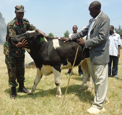 The RDF Chief of Staff Lt. Gen Charles Kayonga hands over a cow to one of the benefiaries in Rutsiro District last Friday The New Times /S. Nkurunziza