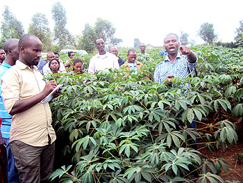  Belange Uwizeye, a cassava specialist (L) lectures agricultural officers at a cassava demonstration farm in the Eastern Province . The New Time /S. Rwembeho.