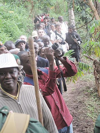 Canopy Walk is becoming Rwanda Tourismu2019s latest attraction. The Newtimes/ file Photo