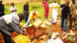 Kabarondo police supervise the destruction of illicit brew popularly known as Kanyanga that was impounded from traffickers recently.The New Times /File