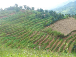 Rulindo District has vowed to terrace hilly areas to avoid a similar catastrophe like the one that encumbered it recently as the September rains draw nearer. The New Times /File.