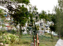 The Remera cemetery in Kigali is now full and is due for closure soon. The New Times /Timothy Kisambira