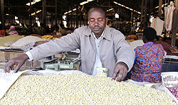Augustin Musoni a researcher from RAB and bean breeder inspects beans at Kimironko market The New Times /Timothy Kisambira