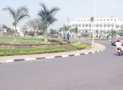 Palm trees that line the streets of Kigali are the subject of the compensation debate  between Insurers and Kigali City Council. The New Times / File photo