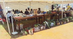 Beneficiaries of ADRA horticulture projcts presenting thier produce during the ceremony.Photo. The New times /D Ngabonziza