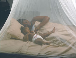 Mosquito nets have played a significant role in reducing malaria incidences in Rwanda. net photo.