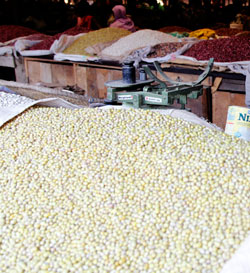 Nyabihu District has projected to increase beans production this season. The New Times /File