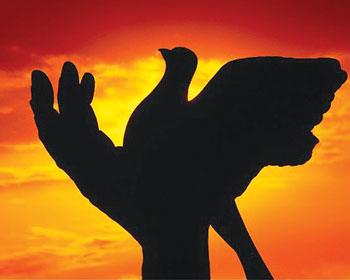 Peace starts from the acceptance that conflict can be resolved.