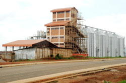 Silos owned by the Agriculture ministry are some of the investment projects already in place at the Kigali special economic zone. The New Times / J Mbanda.