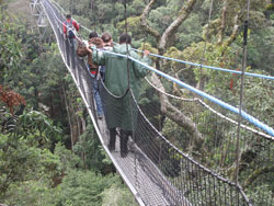 The canopy walk in Nyungwe Forest. Rwandan foreign missions play a crucial role in promoting the country's tourism potential. The New Times / File