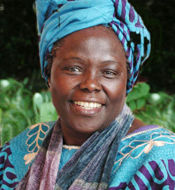 DECEASED; Prof Wangari Mathaai. Net Photo
