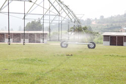 An Irrigation facility. Ngoma residents have called for highland irrigation as a way of maximising production. The New Times /File.