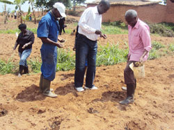 Huye district mayor, Eugene Kayiranga Muzuka (C) joins residents  in planting maize in Rugango Cell during the launch of season A 2012. The New Times / JP Bucyensenge