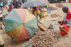 Traders in the countryside will stand to benefit from the new web portal.The New Times / File