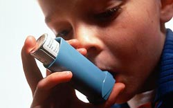 Environmentally harmful asthmatic inhalers will be phased out of the country this year. Net Photo