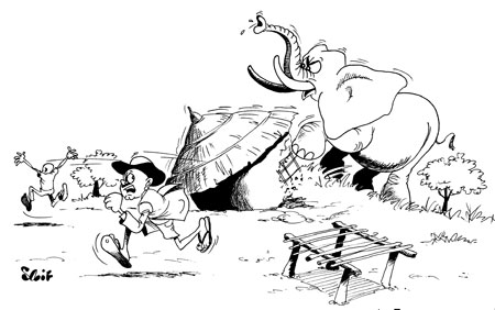 Residents of Bugeshi Sector in Rubavu District have seen their prospective harvests slashed by almost Rwf2 million after stray elephants from the neighbouring Democratic Republic of Congo destroyed their crops.