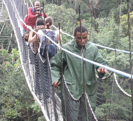 The canopy walk in Nyungwe Forest - One of the attractions that will recieve a boost from the  sector's latest feat. The New Times / File.