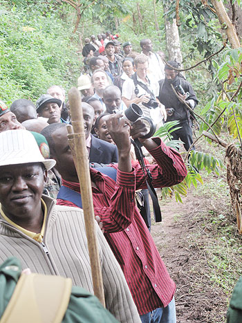 Canopy Walk; Boosting local tourism can help create employment opportunities. The New Times / File photo