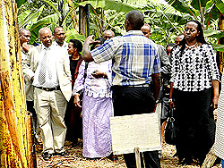 Governors Celestin Kabahizi (L), Aisa Kirabo Kacyira (R) and banana farmer. The New Times / S Rwembeho