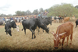 Nyamasheke residents have reached out to their poor neighbours