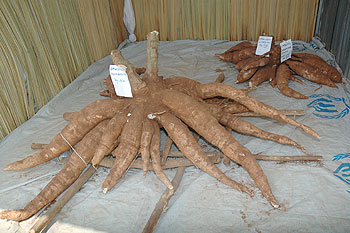 High food prices have pushed inflation higher. The New Times / File.