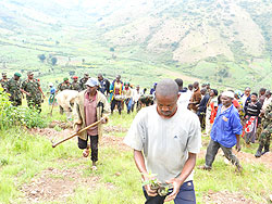  Residents join the tree planting drive on Rwimishinya mountains.The New Times / S. Rwembeho.