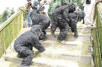Last yearu2019s Gorilla naming ceremony. The New Times / File.