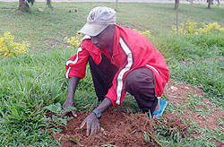 Tree planting should be embraced by all for sustainable development, according to the Senate President Dr Jean Damascene Ntawukuriryayo