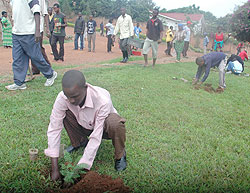 Residents take part in the planting of trees. The New Times / File.