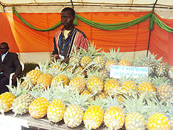 A local farmers cooperative exhibits pineapples at the Nyaruguru District exhibition. The New Times/Bucyensenge