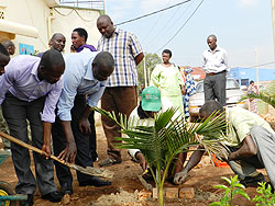 Governor Odette Uwamariya (2nd R)  planting a tree in Kayonza town as the Kayonza mayor, John Mugabo (2nd L) look on. The New Times / D. Ngabonziza