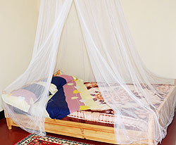 Bed nets have been recommended in the fight against Malaria. The New Times /File.