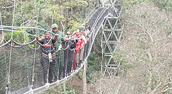 A canopy walk in Nyungwe Forest (The New Times /File)