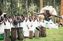Communities living in the environs of the Virunga Massif have turned to promoting culture from poaching from the park. The New Times / J. Mbanda