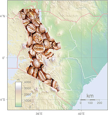 Coffee is becoming a reliable means to food security in the region. Net Photo