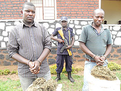 Jean Nshimiyimana and Emile Gashirabake under police guard after they were arrested with several kilograms of cannabis. The New Times / Stephen Rwembeho.