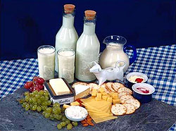 Dairy products which help in calcium