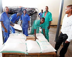MINIMEX employees  load sacks of maize flour milled at the company. A new firm  has been established with the responsibility of trading grains and cereals. The New Times / File.