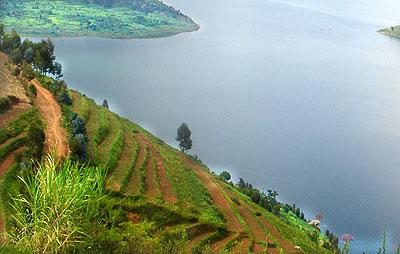 Farming along the shores of Lake Kivu. There is need to protect natural resources such as forests and lakes. The New Times / File.