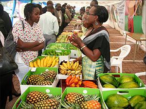 Some of Rwanda's agro exports. The Sunday Times, John Mbanda.