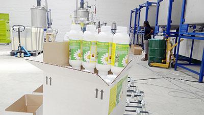 Pesticides from pyrethrum plant are now on sale. The New Times/ File.