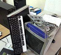 Pesticides from pyrethrum plant are now on sale. The New Times/ File.