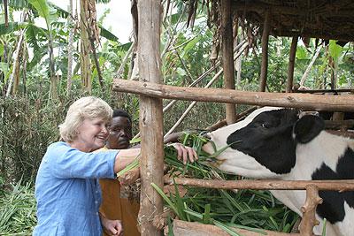 Send A Cow, an international NGO has helped to lift many from abject poverty by donating cows to families in poor countries. Net Photo