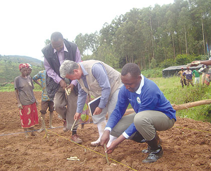 Mayor of Nyamagabe Philbert Mugisha (R) and Sohn KeeWook, a sericulturist at the launch of the mulbery cultivation in Mwogo Valley. The New Times / JP Bucyensenge.