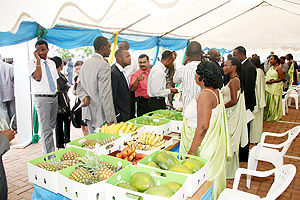 Agribusiness- Rwanda to benefit from the Grow Africa Investment Forum. The New Times / File.