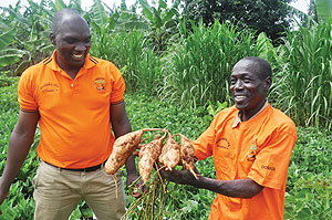 Jean Marie Vianney Habumuremyi (L), president of Duhange Cooperative, with one of the farmers.
