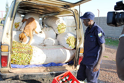 Police with a sniffer dog search a vehicle for possible drugs. The New Times / Courtesy.