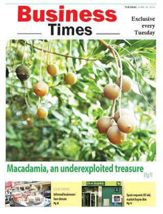 A macadamia tree. Net  photo.