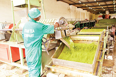 Government has already privatised three tea factories. The New Times / File.